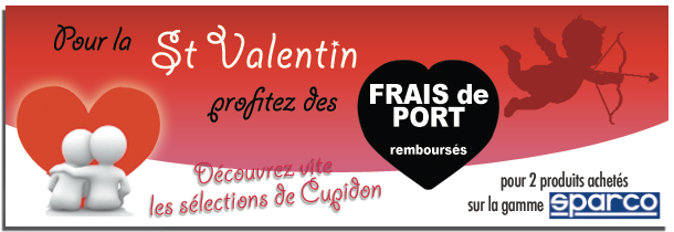 Pub-large-accueil-st-valentin.png