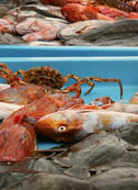 Poisson